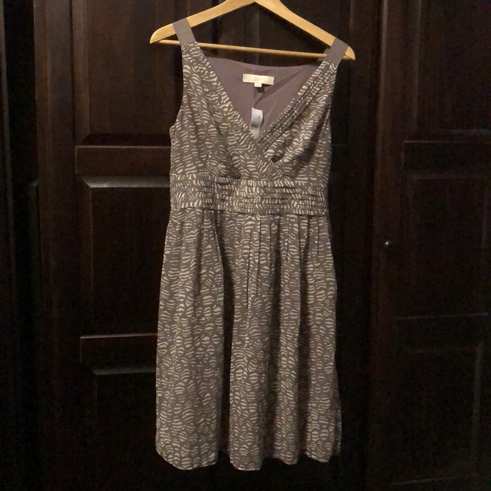 Loft dress